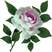 3134236Fv4W0WFP (174x174, 9Kb)